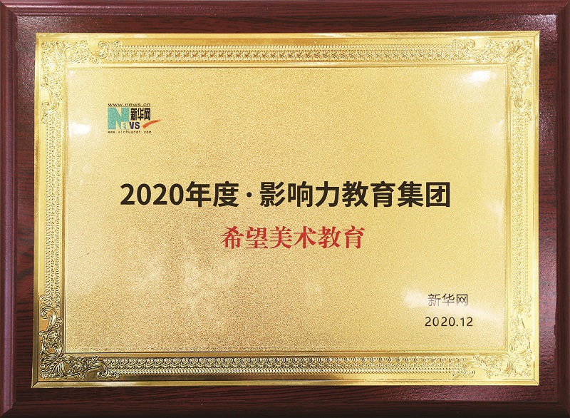 2020年度影响力教育集团